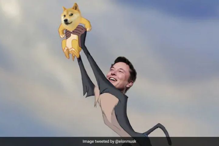 Twitter Replaces Blue Bird with Doge Meme: Elon Musk's Latest Prank